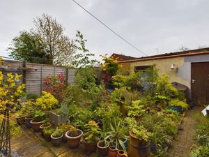 Rear courtyard garden- click for photo gallery